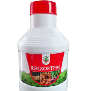 RS RHIZOSTEM