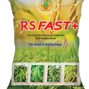 RS FAST +
