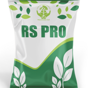 RS PRO (Maharashtra State Grade V)