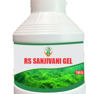 RS SANJIVANI GEL
