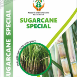 RS ONION-SUGARCANE SPECIAL