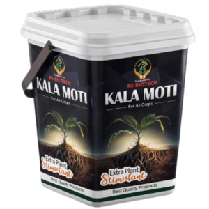 RS KALA MOTI