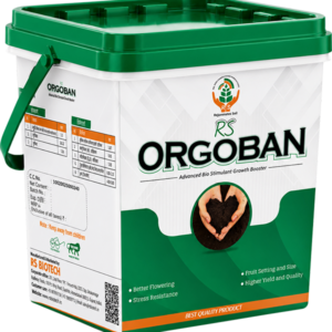 RS ORGOBAN
