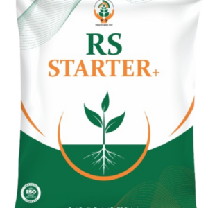 RS STARTER +